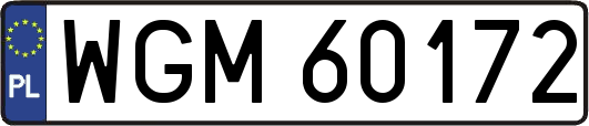 WGM60172