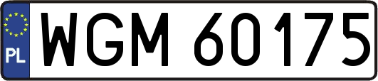 WGM60175