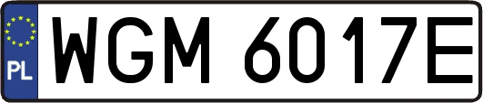 WGM6017E