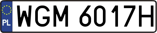 WGM6017H