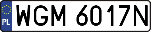 WGM6017N