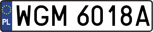 WGM6018A