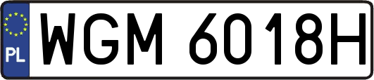 WGM6018H