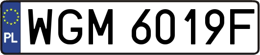 WGM6019F