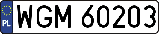 WGM60203