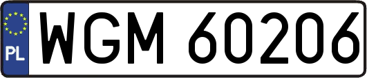 WGM60206