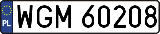 WGM60208