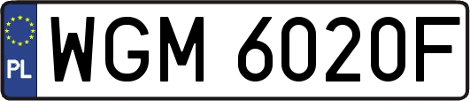 WGM6020F