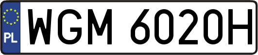 WGM6020H