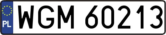 WGM60213