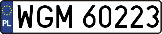 WGM60223