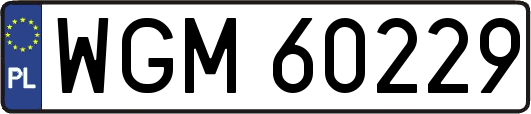 WGM60229