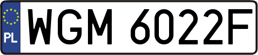 WGM6022F