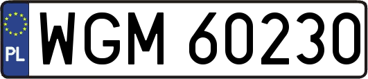 WGM60230