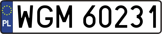 WGM60231