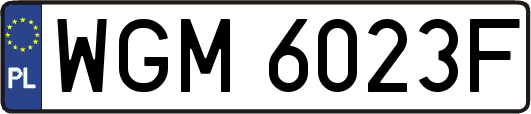 WGM6023F