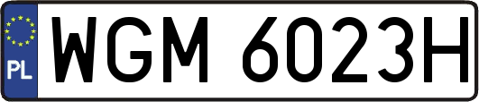 WGM6023H