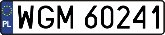 WGM60241