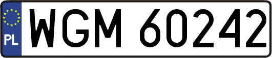 WGM60242