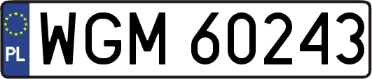 WGM60243