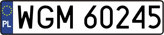 WGM60245