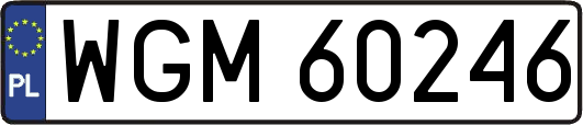 WGM60246