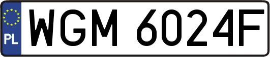 WGM6024F