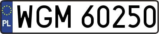 WGM60250