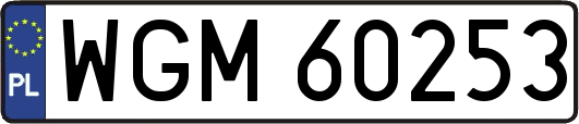 WGM60253