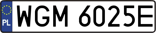WGM6025E