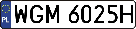 WGM6025H