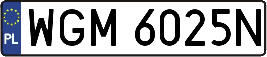WGM6025N