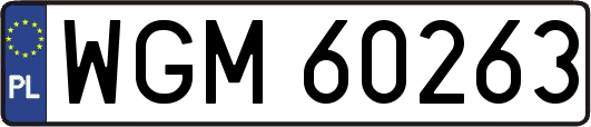 WGM60263