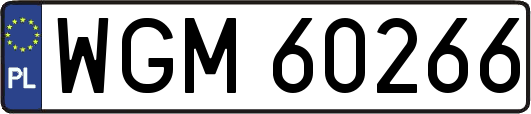 WGM60266