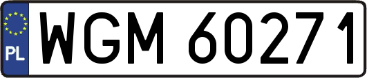 WGM60271
