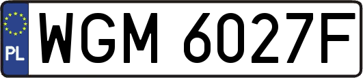 WGM6027F