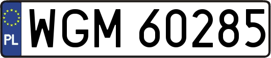 WGM60285