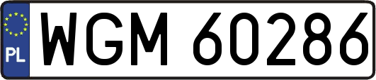 WGM60286