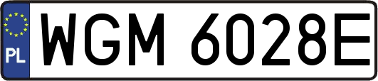 WGM6028E