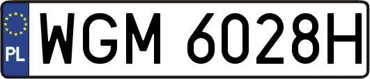 WGM6028H