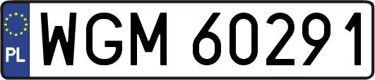 WGM60291