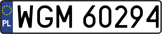 WGM60294