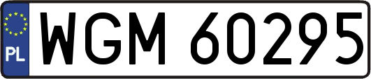 WGM60295
