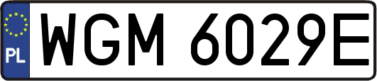 WGM6029E