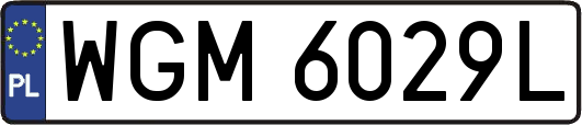 WGM6029L