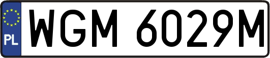 WGM6029M