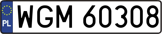 WGM60308