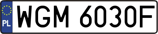 WGM6030F