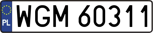 WGM60311