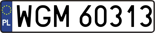 WGM60313